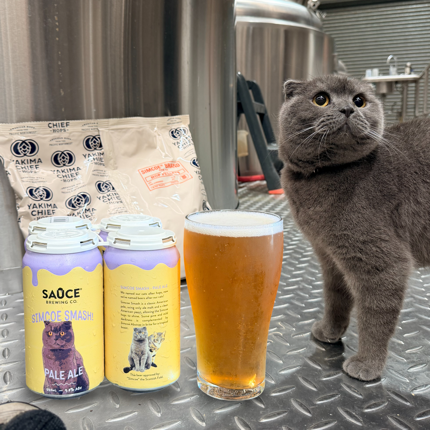 Simcoe Smash - Pale Ale